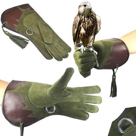 Falcon Glove, Falconry Glove, Falconry Equipment, Animal Story, Harris Hawk, Hawk Eagle, Hunting Gloves, Leather Working Projects, Mma Gear