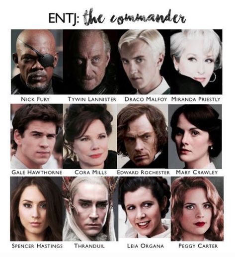 Entj Characters, Entj Women, Mbti Functions, Istp Entj, Character Charts, Mbti Entj, Entj Personality, Intj Enfp, Character Chart