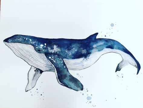 Whale Drawing, Whale Painting, Whale Illustration, Watercolor Whale, Watercolor Fish, Whale Art, Female Art Painting, Fish Drawings, 수채화 그림