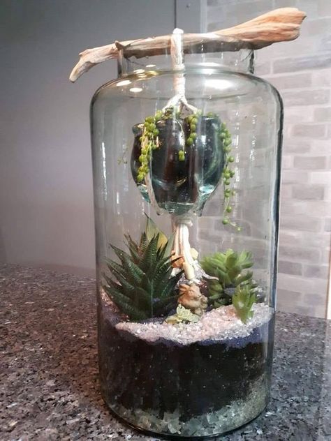 Garden in the jars Greenhouse Terrarium, Terrarium Ideas, Greenhouse Plants, Succulent Garden Diy, Terrarium Decor, Garden Art Sculptures Diy, Garden Art Projects, Garden Art Sculptures, Garden Art Diy