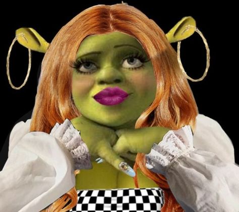 #USA Shrek Aesthetic Cute, Shrek Funny, Funny Face Photo, Cute Backgrounds For Iphone, Barbie Funny, Instagram Cartoon, Spongebob Funny, Funny Pix, Vines Funny Videos