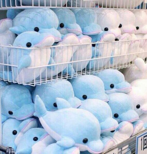 Random Aesthetic Pictures, Y2k Blue Aesthetic, Ocean Themed Bedroom, White Dolphin, Pink Dolphin, Light Blue Aesthetic, Random Aesthetic, Cute Stuffed Animals, Bedroom Themes