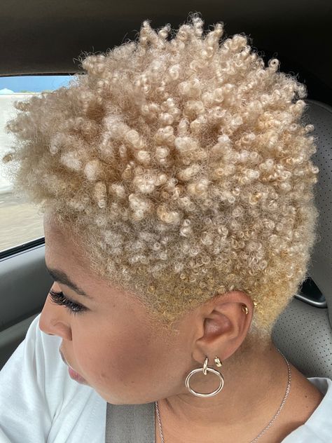 Short Blonde Pixie Cut, Black Pixie Cut, Black Pixie, Short Blonde Pixie, Blonde Natural Hair, Black Wigs, Tapered Natural Hair, Natural Hair Cuts, Natural Hair Short Cuts