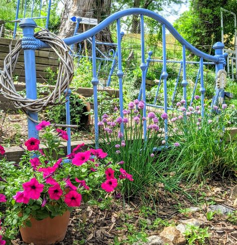 Repurposed Headboards… Perfect for a Garden Bed – Comfy Lane Cottage Using Old Bed Frames In The Garden, Metal Bed Frames In The Garden, Headboards In The Garden, Iron Bed Frame Repurpose, Bedhead Ideas, Old Garden Gates, Headboard Sign, Shabby Chic Patio, Bed Comfy