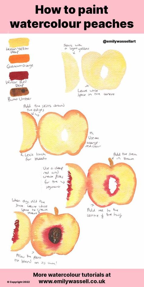 How To Paint A Peach, Watercolor Peach Tutorial, Peach Crafts, Peach Drawing, Peach Painting, Watercolour Tutorial, Watercolor Pencil Art, Peach Watercolor, Watercolor Supplies