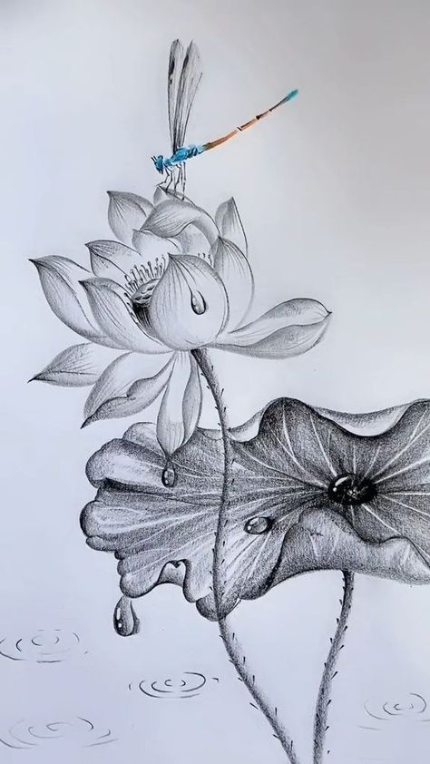 Dragon Tattoo Ideas, Abstract Pencil Drawings, Pencil Drawings For Beginners, Painting Fashion, Flower Drawing Tutorials, Dragon Tattoos, Nature Art Drawings, Pencil Sketch Images, Instagram Painting