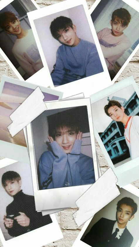 Seventeen Polaroid Group, Joshua Polaroid, Svt Polaroid, Seventeen Polaroid, Joshua Wallpaper, Polaroid Wallpaper, Jisoo Seventeen, Joshua Svt, Pledis Seventeen