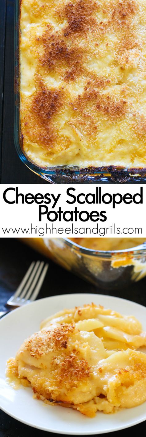 Cheesy Scalloped Potatoes - These are a great and easy side dish for any dinner! http://www.highheelsandgrills.com/2015/04/cheesy-scalloped-potatoes.html Grits Recipes, Gram Cracker, Potato Casseroles, Best Scalloped Potatoes, Cheesy Scalloped Potatoes, Christmas Yummies, Galway Girl, Ground Beef Stroganoff, Potatoes Recipes