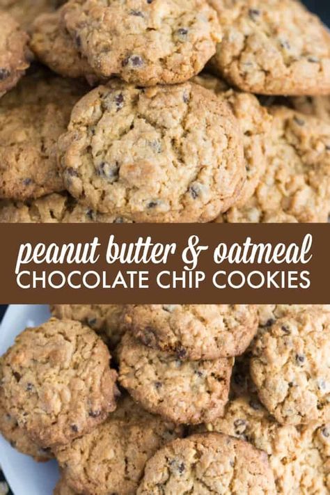 Peanut Butter Oatmeal Chocolate Chip, Peanut Butter Oatmeal Chocolate Chip Cookies, Cookies Sans Gluten, Oatmeal Chocolate Chip Cookie Recipe, Biscuits Diététiques, Peanut Butter Oatmeal Cookies, Sugar Free Cookies, Oatmeal Chocolate Chip, Favorite Cookie Recipe