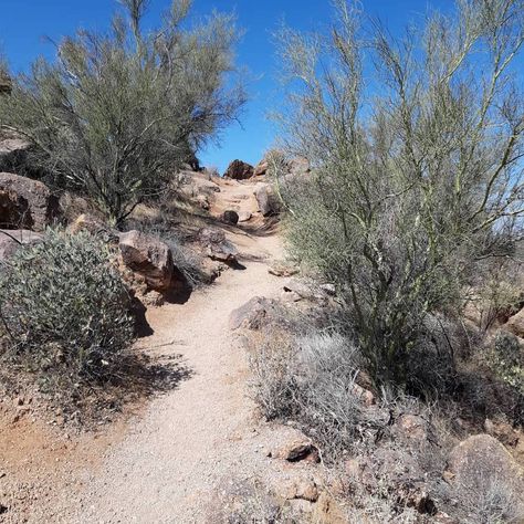 The outdoors in Mesa, Arizona, is ripe for discovery year-round. Here are seven excellent outdoor activities in Mesa. Holiday Goals, Desert Tour, Guest Ranch, Canyon Lake, Mesa Arizona, Sonoran Desert, Mesa Az, Community Gardening, Urban Farming