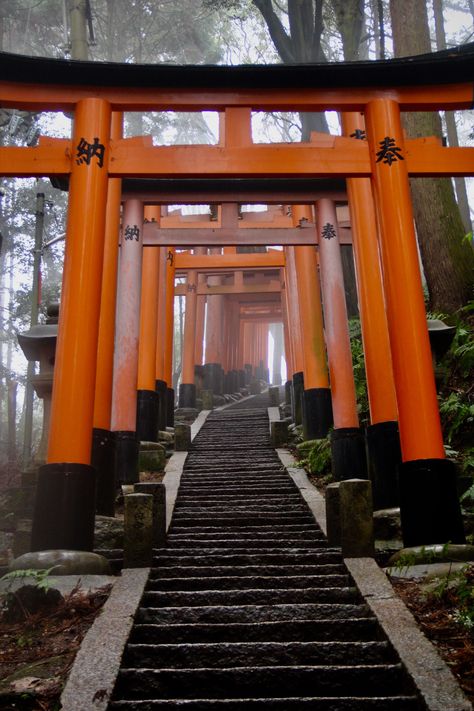 5 must-see places in Kyoto ... Travel Guide to the best shrines, temples, & castles to visit Japanese Shrine Photography, Fushimi Inari Shrine Photography, Japan Temple Aesthetic, Inari Temple, Shrines In Japan, Japan Shrine, Japanese Shrines, Asian Temple, Japanese Temples