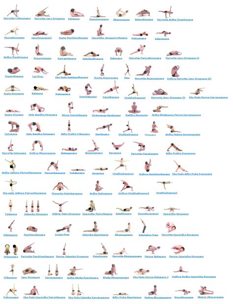 All Yoga Asanas, Yoga Asanas Names, Sitting Yoga Poses, Yoga Chart, Seated Yoga Poses, Asana Yoga Poses, Popular Yoga Poses, Chair Pose Yoga, Ashtanga Vinyasa Yoga