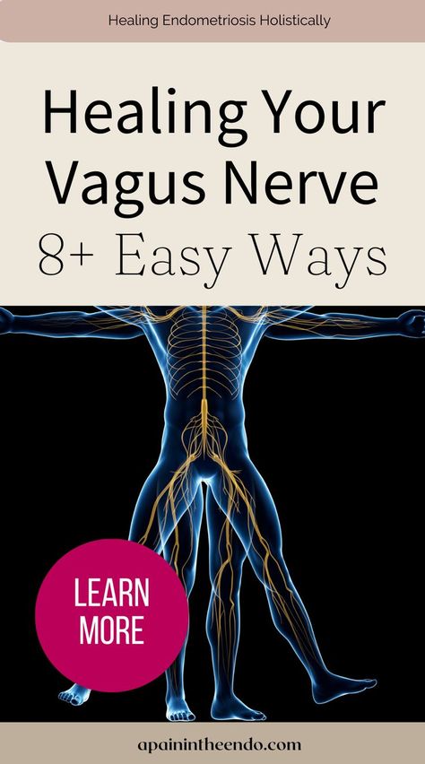 Healing your vagus nerve can help improve your heart rate variability, and do so many amazing things for your body. Learn 8 easy tips that you can immediately apply to tone your vagus nerve today! Vagus Nerve Damage, Glossopharyngeal Neuralgia, Vagus Nerve Stimulator, Nerve Pain Remedies, Heart Rate Variability, Brain Nervous System, Nerve Health, Healing Essential Oils, Cold Medicine