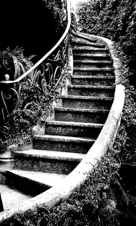 . Black And White Stairs, Stairs To Heaven, White Staircase, Heaven Tattoos, Medieval Tattoo, White Stairs, Garden Stairs, Religious Tattoos, Stairway To Heaven