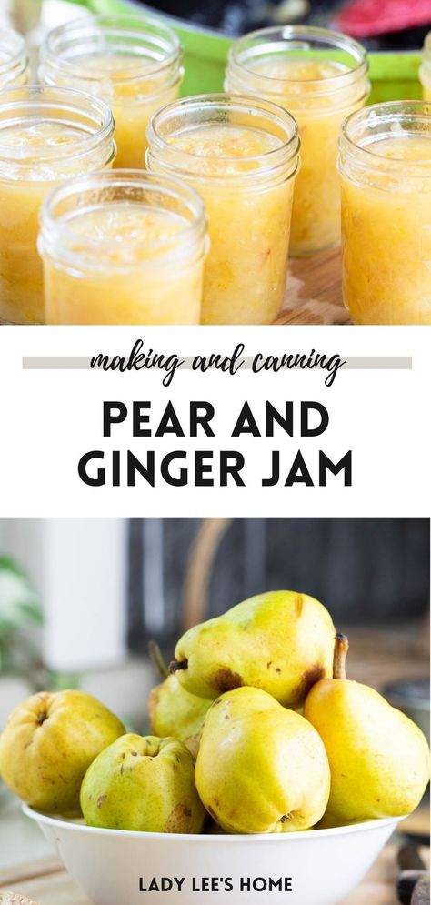 Follow this simple recipe to make and can pear ginger jam. This is a great way to use and preserve pears. Preserve Pears, Ginger Jam Recipe, Canning Fruit Recipes, Preserving Fruit, Canning Pears, Pear Preserves, Water Bath Canning Recipes, Ginger Jam, Freezer Jam Recipes