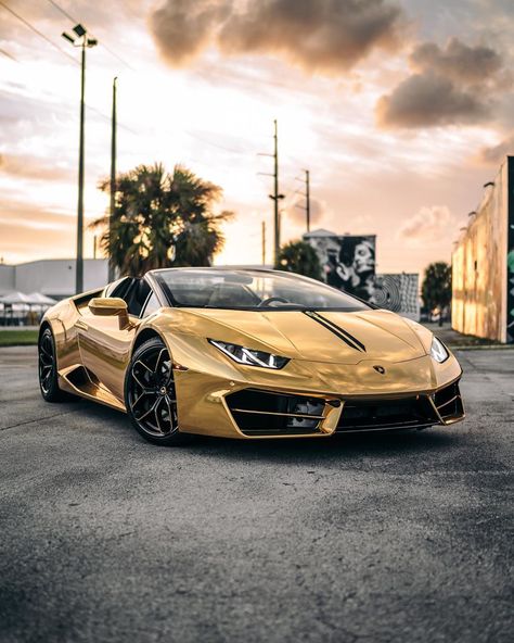 Kevin Thobias on Instagram: “Miami definitely has a golden sunset like no other. So be seen in a car like no other!” Lamborghini Photos, Gold Lamborghini, Car Interior Storage, Luxurious Cars, Lamborghini Cars, Super Luxury Cars, Classy Cars, Best Luxury Cars, Lamborghini Gallardo