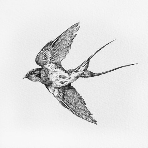 Black ink illustration of a sparrow. Stippling Tattoo Design, Stippling Tattoo Ideas, Tattoos With Stippling, Small Stippling Tattoo, Sparrow Tattoos, Sparrow Hip Tattoo, Sparrow Bird Tattoo, Stippled Tattoo, Stipple Tattoo Design