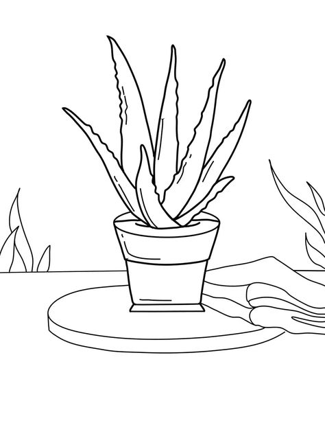 Plant Coloring Pages, Outdoor Succulents, Lost In Nature, Flower Coloring Sheets, Common House Plants, Easy Flower Drawings, Flower Vines, Cactus Drawing, Flower Drawings