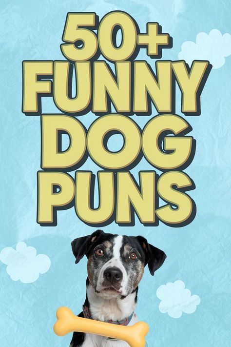 Funny Dog Puns Funny Dog Cartoon, Happy Birthday Dog Lover Funny, Companionship Quotes, Funny Dog Jokes, Birthday Puns, Dog Puns, Happy Birthday Dog, Quotes Pinterest, Dog Jokes