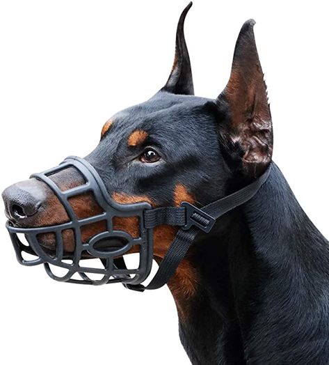 Dog Muzzle, Dog Teeth Cleaning, Pet Cushions, Wood Dog, Puppy Face, Aggressive Dog, Dog Biting, Dog Gear, Dog Training Obedience