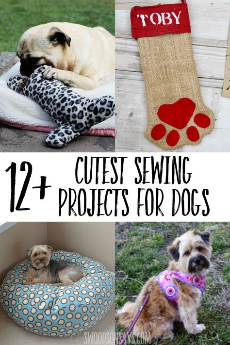 Sew for your canine companion with these creative sewing projects for dogs! Dog sewing projects are good for beginners and fun to make. #sewing #dog Sewing Projects For Dogs, Cute Sewing Projects, Beginner Sewing Projects Easy, Leftover Fabric, Fabric Baskets, Dog Beds, Sewing Projects For Beginners, Sewing Skills, Easy Sewing Projects