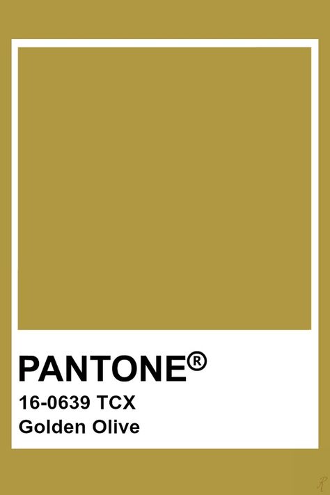 Pantone Golden Olive Golden Olive Color, Olive Gold Color Palette, Golden Pantone, Olive Pantone, Pantone Tcx, Pantone Green, Pantone 2017, Yellow Pantone, Pantone Color Chart