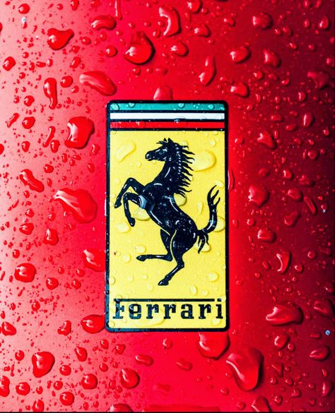 Scuderia Ferrari Logo, Mercedes Petronas, Jdm Girls, Belgian Grand Prix, Ferrari World, F1 Wallpaper Hd, Formula Uno, Ferrari F40, Formula 1 Car