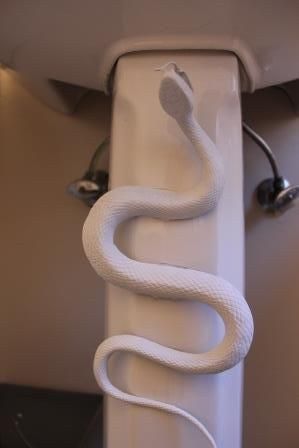 Spraypaint a snake for a Chamber of Secrets bathroom. | 33 Cheap And Easy Ways To Throw An Epic Harry Potter Halloween Party Harry Potter Motto Party, Harry Potter Weihnachten, Harry Potter Bathroom, Harry Potter Party Decorations, Harry Potter Christmas Decorations, Hogwarts Party, Harry Potter Halloween Party, Cumpleaños Harry Potter, Harry Potter Bday