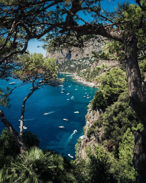 Save this location if you're planning a trip to Isle of Capri this spring/summer ☀️ 🇮🇹 This is the Gardens of Augustus 🌺🌱🌹🪴 • Just a short walk from the centre • Entrance fee €1.50 • Beautiful botanical garden • Mesmerising views including Capri's most iconic sight -the dramatic Faraglioni (rock formations) If you need a break from walking this is the perfect spot to relax. #italy #visititaly #capri #italy_vacations #europetravel #beautifuldestinations #capriisland #europedestinatio... Capri Island, Isle Of Capri, Capri Italy, Need A Break, Visit Italy, Planning A Trip, Rock Formations, Botanical Garden, Beautiful Destinations