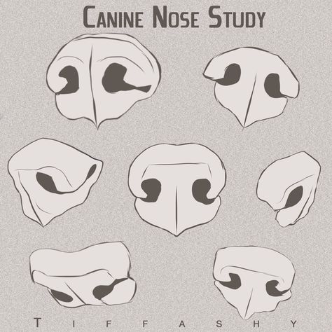 Nose Study, Colorful Dog Art, Canine Drawing, Canine Tooth, Dog Anatomy, Nose Drawing, Dog Nose, Animal Study, 강아지 그림