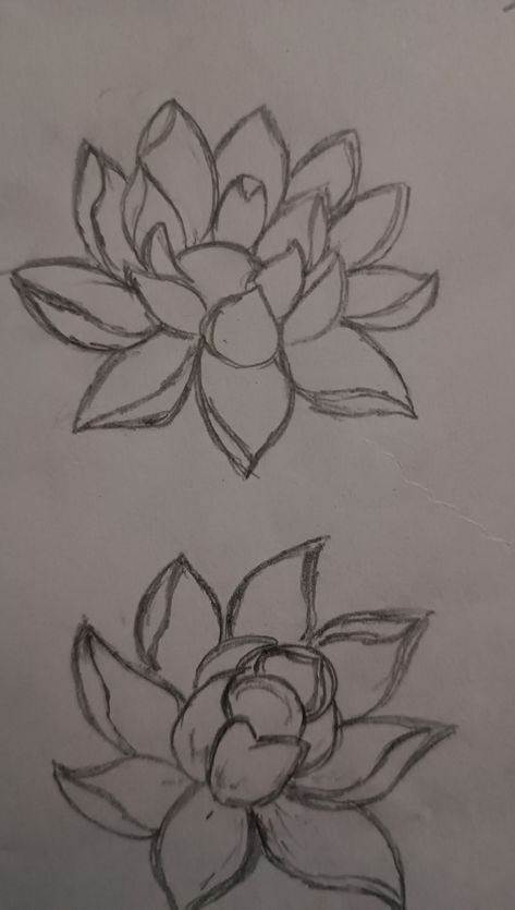 Medium Level Drawings, Drooping Flowers Drawing, Sketch Ideas Flowers, Easy Lotus Drawing, Drawing Flowers Easy, Lotus Flower Sketch, Easy Things To Sketch, Lotus Flower Drawings, Drawing Roses