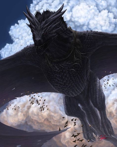 Balerion The Black Dread Size, Drogon Got Fanart, Black Wyvern, House Of The Dragon Dragons, Ayam Cemani Chicken, Cemani Chicken, Black Dragon Art, Got Fanart, Balerion The Black Dread