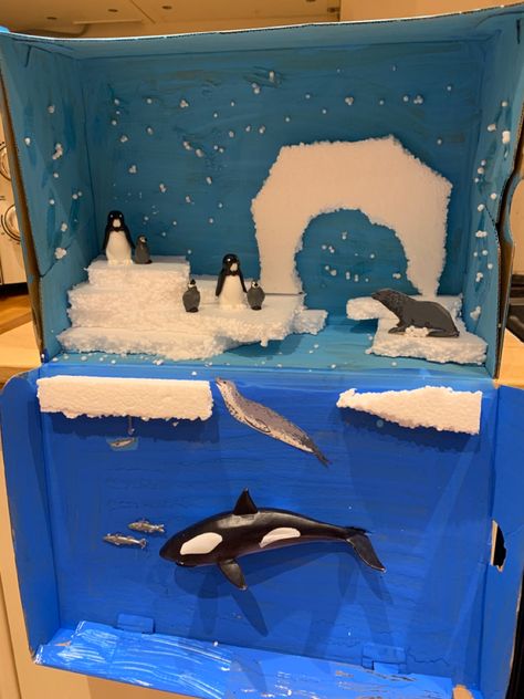 Antartic in a shoe box homework assignment Artic Animal Diarama, Shoebox Animal Habitat Project, Ocean Shoe Box Project, Orca Diorama School Projects, Diorama Ideas For Kids School Projects Shoe Box Animal Habitats, Shoe Box Habitat Projects, Christmas Shoe Box Ideas, Shoe Box Diorama Projects, Orca Craft Preschool