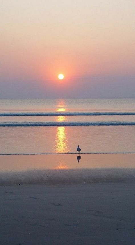 Sunrise , Daytona Beachhttps://www.facebook.com/seascapesandsun/photos/a.263758163829920.1073741828.263747807164289/665028983702834/?type=3 Panama Beach, Ocean Sunrise, Sunrise Pictures, Daytona Beach Florida, I Love The Beach, Panama City Beach, Daytona Beach, Jolie Photo, Florida Beaches