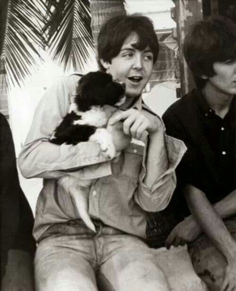 Paul with baby Martha. Martha My Dear, The Beatles 1, Jane Asher, With The Beatles, Beatles Pictures, Sir Paul, The Fab Four, Paul George, Puppy Eyes