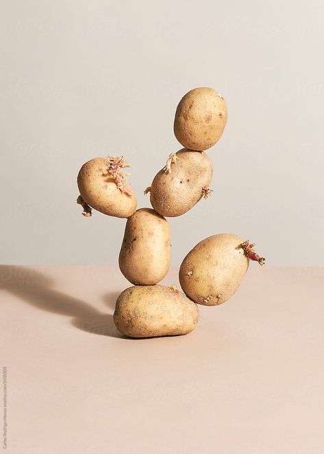 An equilibrated composition with potatoes Potato Photography, Korean History, Advertising Photography, Food Waste, Food Styling, Art Direction, Design Elements, Still Life, Food Photography