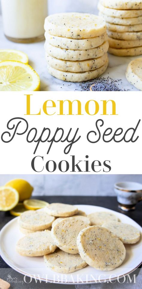 Lemon Poppy Seed Cookies, Slice And Bake Cookies, Poppy Seed Cookies, Lemon Cookies Easy, Easy Slice, Seed Cookies, Icebox Cookies, Scone Recipes, Lemon Bar