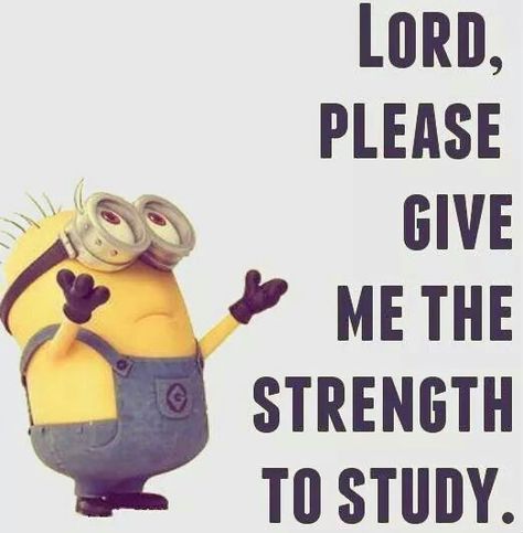 God give me strength Full Marks In Exam, Night Before Exam, Full Marks, Exam Quotes, Weather Quotes, Minion Jokes, Exam Quotes Funny, A Minion, Minion Quotes