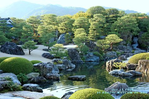 Adachi And Kurosawa, Adachi And Shimamura Manga, Asrai Garden, Tohru Adachi Meme, Adachi Museum Of Art, Adachi Museum, Visiting Japan, Japanese Zen Garden, Zen Gardens