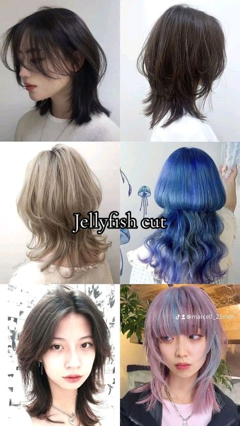 Jellyfish Haircut With Curtain Bangs, Jelly Fish Cut Short Hair, Subtle Jellyfish Haircut, Soft Jellyfish Haircut, Jelly Haircut, Jellyfish Cut Hair, Jellyfish Haircut X Wolf Cut Short, Jelly Fish Hair Cuts, Haircut Jellyfish