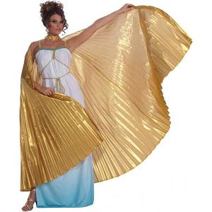 Google Express - Forum Novelties Gold Goddess Theatrical Costume Wings 68428 Nativity Costumes, Goddess Costume, Angel Costume, Gothic Vampire, Homemade Costumes, Wings Costume, Costume Collection, Neck Piece, Costume Shop