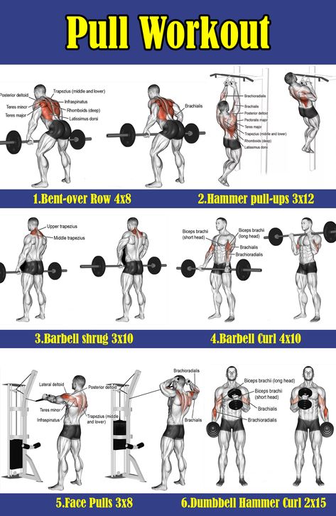 Pull Workout For Men Gym, Pull Day Workout Gym Men, Pull Day Workout Men, Gym Pull Day, Pull Gym Workout, Push Workout For Men, Pull Exercises Gym, Pull Workout For Men, Push Pull Legs Workout Plan Men