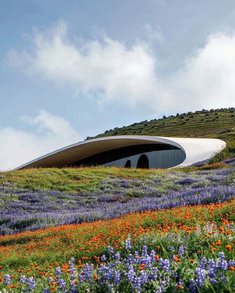 Embedded Architecture, Flowers In Architecture, Hill Architecture, Architecture Nature, Nature Integrated Architecture, Architecture Integrated With Nature, Building In Mountain Architecture, Visitor Center Architecture, Monolithic Dome Homes