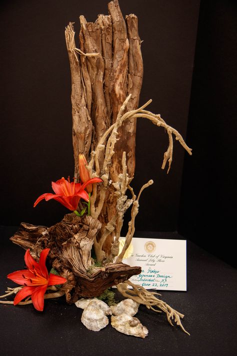 Driftwood Floral Arrangements, Drift Wood Floral Arrangements, Ikebana With Driftwood, Orchid On Driftwood, Ikebana Bamboo Arrangements, Floral Art Arrangements, Modern Floral Arrangements, Unique Floral Arrangements, Palm Tree Art