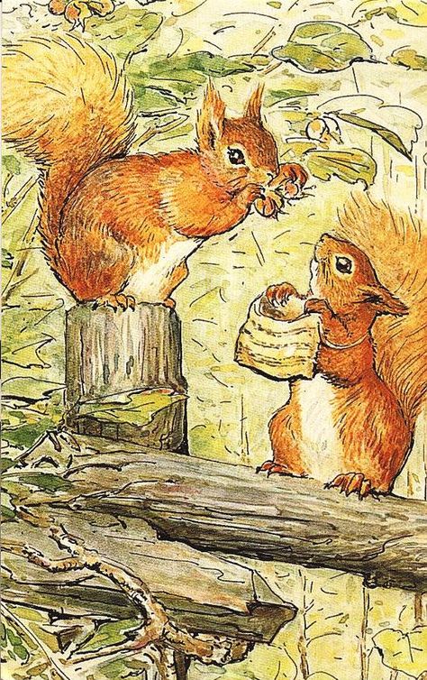 The Tale Of Squirrel Nutkin - Illustrated by Beatrix Potter Beatrix Potter Art, Miss Potter, Squirrel Nutkin, Beatrix Potter Illustrations, Susan Wheeler, Beatrice Potter, Tale Of Peter Rabbit, Peter Rabbit And Friends, Marjolein Bastin