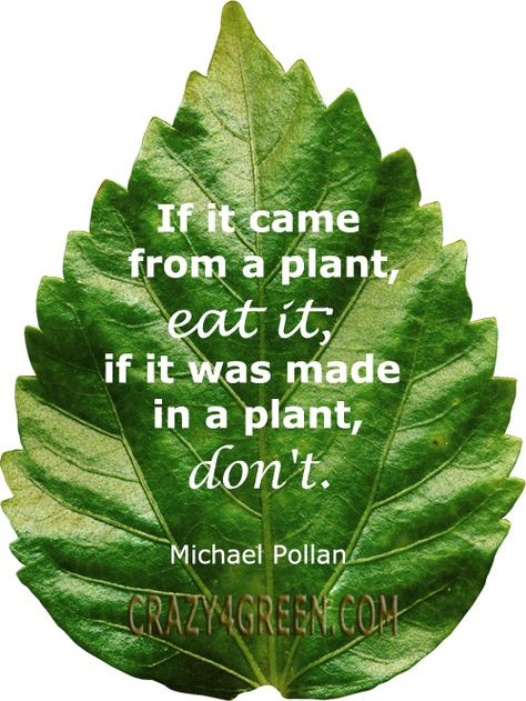 "If it came from a plant eat it.  If it was made in a plant, don't." ~ Michael Pollan #organic #quote Michael Pollan, Nutrition Quotes, Plant Based Nutrition, Holistic Nutrition, Nutrition Education, Nutrition Plans, Detox Smoothie, Health Info, Health Quotes