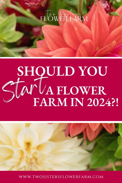 Curious about turning your passion for growing flowers into a business? In this post I break down the surprising reasons you should start a flower farm. And once you've decided flower farming is right for you, I share my best resources for how to start a flower farm! Growing Cut Flowers, Flower Farming, Cut Flower Farm, Backyard Farm, Flower Business, Flower Farmer, Backyard Farming, Flower Farm, Growing Flowers