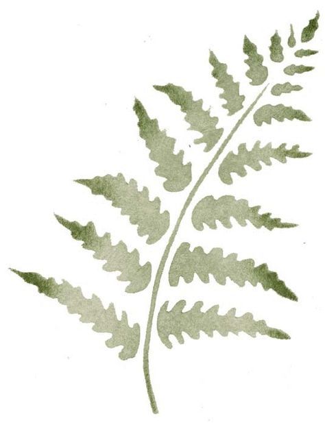 - az1 - walltowallstencils.com Simple Shapes Drawing, Fern Stencil, Decor Mood Board, Green House Design, Mural Stencil, Leaf Stencil, Wall Stencils, Nature Drawing, Faux Stained Glass