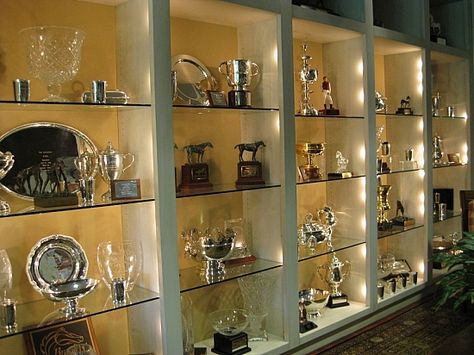 Trophy wall in entertainment area Trophy Rooms Awards, Awards Room Display, Trophies Display Ideas, Office Trophy Display Ideas, Trophy Case Ideas, Trophy Wall Display Ideas, Trophy Display Ideas Shelves, Trophy Room Ideas, Awards Display Wall