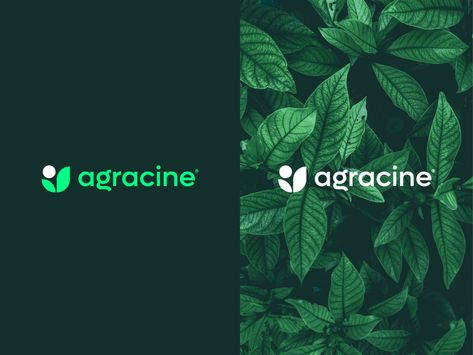 Agracine Logo Design - Branding - Icon - Flat Organic Logo Branding, Green Logo Design Ideas, Farm Branding Design, Agriculture Logo Design Ideas, Pot Logo Design, Vegetables Packaging, Ng Logo, Branding Icon, Eco Logo Design